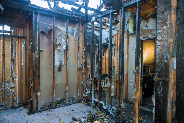 Professional Fire Damage Removal technician working in Henriette, MN
